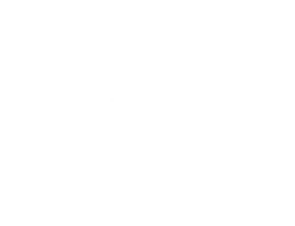 Video engine - Southern Optronics